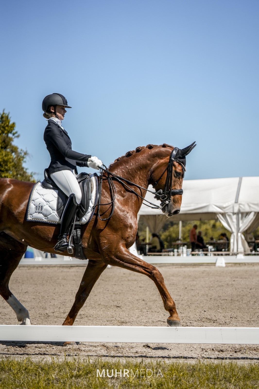 Reitsport & Equestrian – MUHRMEDIA – Detailaufnahme 2