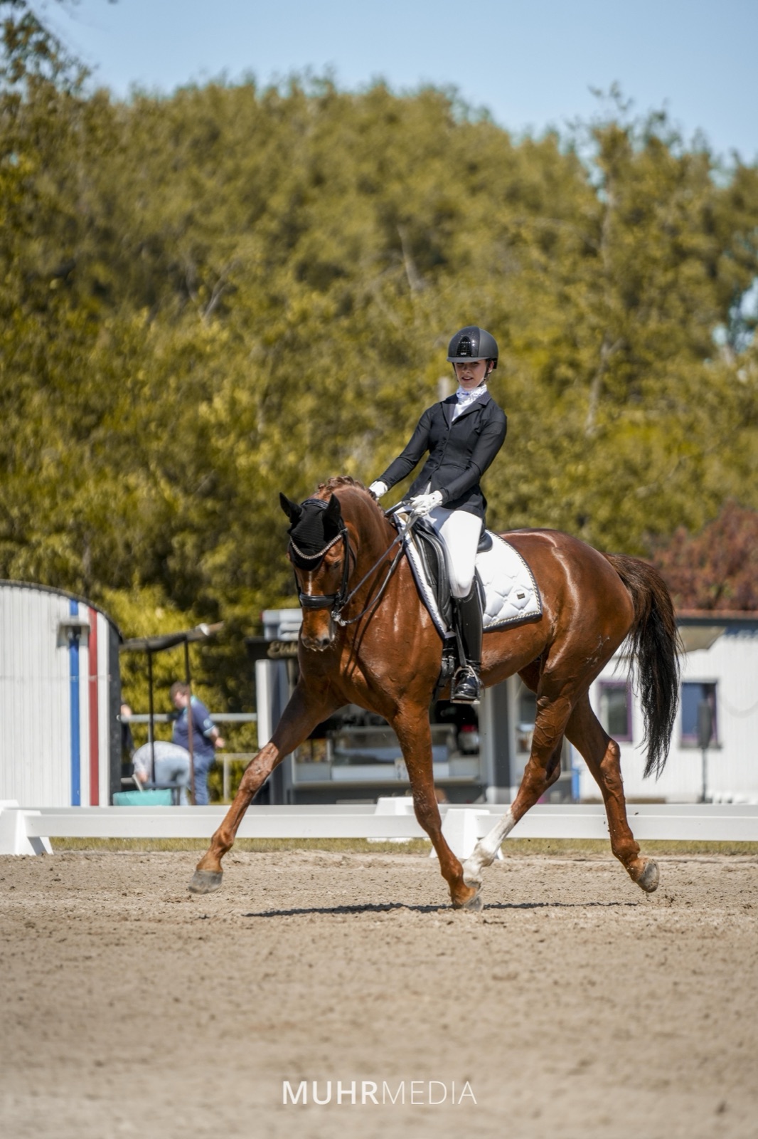 Reitsport & Equestrian – MUHRMEDIA – Detailaufnahme 3